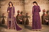 Vaani 14 Heavy Festive Wear Latest Designer Net Salwar Kameez Collection